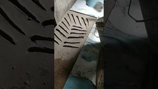 Floor tiles installation Hall shorts ytshorts trading [upl. by Tarkany]