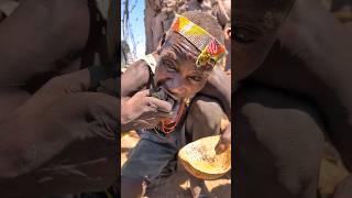 This is incredible delicious soup cooked by Hadza Bushmen naturally 😋😲hadzabetribe villagelife [upl. by Perusse]