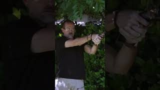 Firing a Flintlock Pistol in My Garden Adventure shorts hunting [upl. by Haines718]