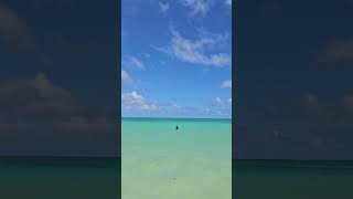 Lanikai Beach shortvideo hawaii happy swim [upl. by Driscoll]