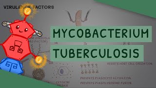 Mycobacterium tuberculosis  TB [upl. by Ilana698]