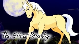 The Silver Brumby  Full Episodes 3639  2 HOUR COMPILATION  Silver Brumby Full Season [upl. by Aiz673]