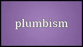 Plumbism Meaning [upl. by Nylednarb]