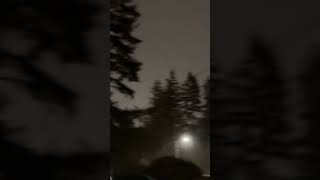 Cyclone Storm knocks over trees in Washington State [upl. by Lorenzo]