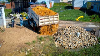 Nicely New Project Technique Bulldozer KOMATSU D20P Pushing Soil amp 5Ton Dump Truck Filling Land [upl. by Camila654]