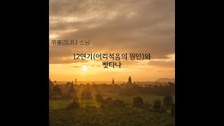 024  12연기어리석음의 원인와 빳타나  위뿔라냐니 스님 [upl. by Ayahs480]