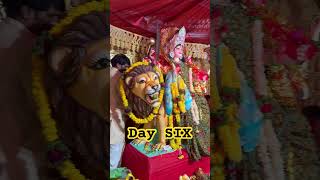 Navratri day six navratrispecial navratripooja fastingday [upl. by Erdeid]