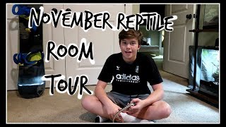 Reptile Room Tour November Savannah Monitor Snakes Geckos and SO much More [upl. by Kung]