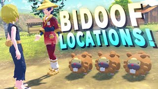 ALL 3 Bidoof Locations  Bothersome Bidoof Quest  Pokemon Legends Arceus [upl. by Leinahtan]