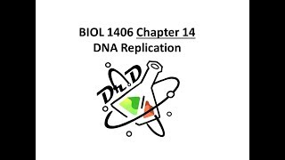 Chapter 14  DNA Replication [upl. by Yedrahs]