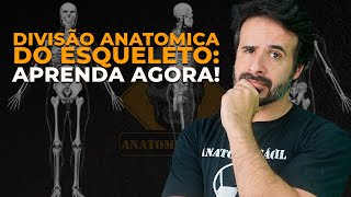 Sistema Esquelético 15 Introdução  Anatomia e etc [upl. by Auhsuj221]