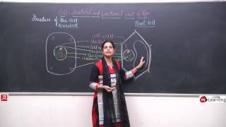 Cell Structure amp Function for Class 8th  0311 [upl. by Harpole]