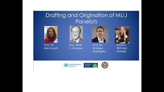 Introduction and Panel 1 The Drafting amp Origination of the MLIJ [upl. by Mauretta]