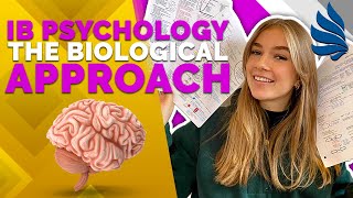 IB Psychology Revision The Biological Approach Part 1 [upl. by Ecirp458]