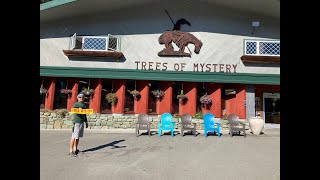 Stop  “Trees of Mystery” tourist attraction Klamath Ca Our Life redwoodforest unique roadtrip [upl. by Haduhey]