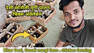 desi Sonali murgi palon in bihar West Bengal PoultryIndiatvrates [upl. by Cronin117]