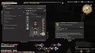 Final Fantasy XIV Road to Lv60 54 [upl. by Sinned]