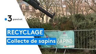 Des points de collecte pour le recyclage des sapins [upl. by Bruning965]