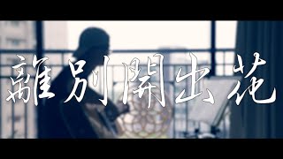 離別開出花  cover [upl. by Camille]