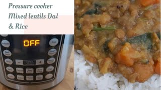 Mixed lentils curry  Pressure cooker lentils  lentils dal amp rice  pressure cooker recipes [upl. by Dnumde]