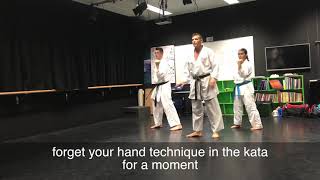 Pt 1 Body Shifting in Kata  Why and how [upl. by Gapin502]