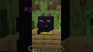 EL USO SECRETO DE LAS CABEZAS DE LOS MOBS DE MINECRAFT [upl. by Mandych232]