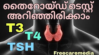 Thyroid function test in malayalam  TFT [upl. by Doxia110]