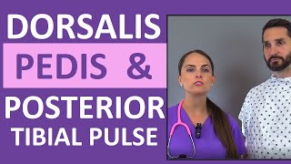 Dorsalis Pedis and Posterior Tibial Pulse Point Nursing Assessment [upl. by Deth61]