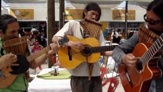 Músicos de la Caleta de San Pedro  Charagua [upl. by Darleen378]