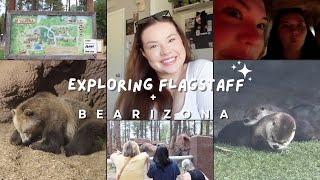 Exploring Flagstaff and BEARIZONA VLOG [upl. by Manton72]