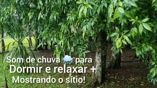 CHUVA NA NATUREZA  MOSTRANDO O SÍTIO Cicerotubevlog [upl. by Ennairrek]