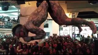 Saturday Suspension Show Venezuela Tattoo Convention 2016 [upl. by Brawner]