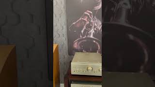 Denon 2000III amthanhbai music jblc100si xuhuong [upl. by Cori]