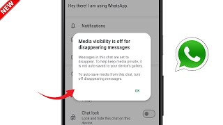 Whatsapp Media visibility is off for Disappearing messages  Whatsapp Media Not Showing in Gallery [upl. by Nodaj]