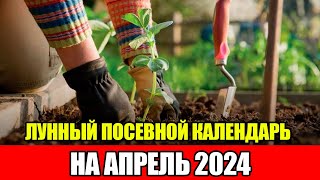 Лунный Посевной Календарь на АПРЕЛЬ 2024  Сажаем только в БЛАГОПРИЯТНЫЕ ДНИ [upl. by Arabrab]