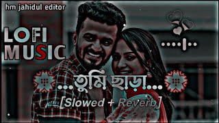 তুমি ছাড়া lofi music  SlowedReverb  Tumi chara romantic songs lofi  2023 New Bangla Song [upl. by Serica69]