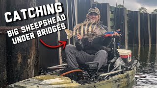 Catching BIG SHEEPSHEAD under Bridges  Gulf Shores Alabama Kayak Fishing [upl. by Rhetta900]