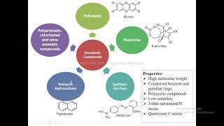 Biodegradation of Xenobiotics [upl. by Sy]