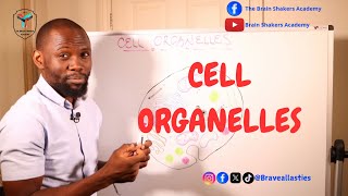 The CELL ORGANELLES Components within the CELL Cytoplasm [upl. by Armat837]