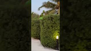 Maldives 🇲🇻 outfit travel travelvideo photoshoot maldives2024 beach maldivesisland [upl. by Nerw]