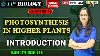 CBSE BOARD  CLASS 11TH BIOLOGY  Photosynthesis in Higher Plants  LEC  01  A K EDUCATION [upl. by Nitsoj835]