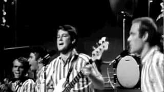 Surfin USA Live on the TAMI Show 1964 [upl. by Warenne]