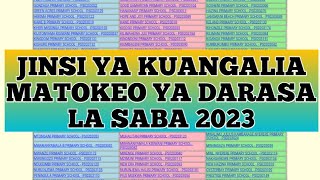 🔴 HABARI MPYA Jinsi ya kuangalia Matokeo ya Darasa la SABA 2023 [upl. by Onihc]