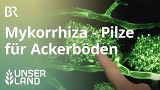 Mykorrhiza Mit Pilzen den Boden verbessern  Unser Land  BR Fernsehen [upl. by Noeled]