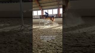 Keep going 🔥❤️‍🔥 equestrian horse horses pony pferde cheval hest trending funny hest [upl. by Akimihs]