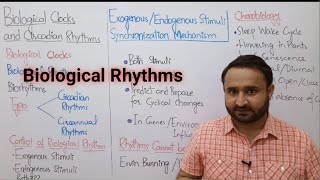 Ch 17 Lec 3 Biological Clocks and Circadian Rhythms [upl. by Nesline]