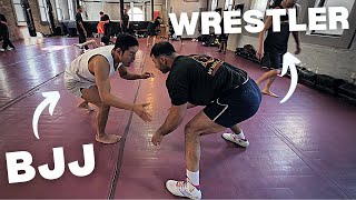 BJJ vs High Level Wrestler WHO WINS [upl. by Ahders769]