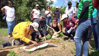 Ministerie van LVV participeert in workshop quotSoil Health in Surinamequot [upl. by Dayna]