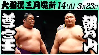 大相撲 尊富士ー朝乃山＜令和６年三月場所・１４日目＞SUMO [upl. by Giesecke]