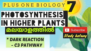 DARK REACTION C3 PATHWAYPHOTOSYNTHESIS IN HIGHER PLANTS  PLUS ONE BIOLOGY MALAYALATHIL SB NCERT [upl. by Eveline946]